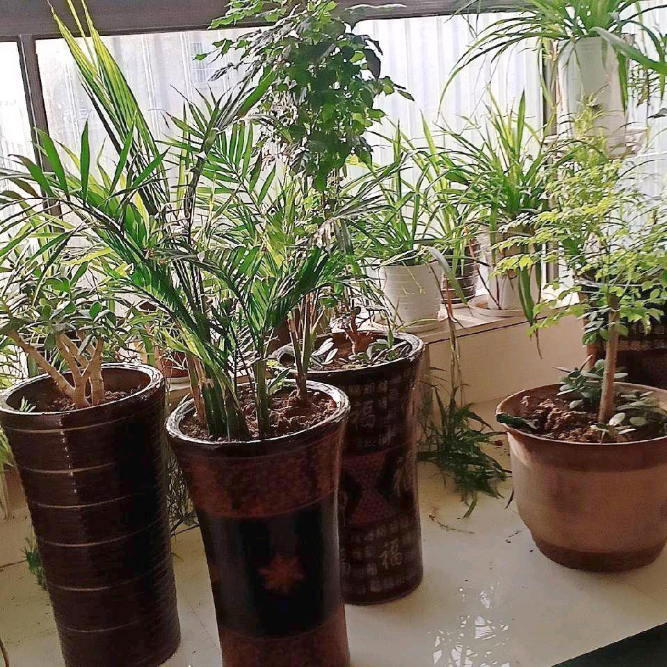 好人一生平安