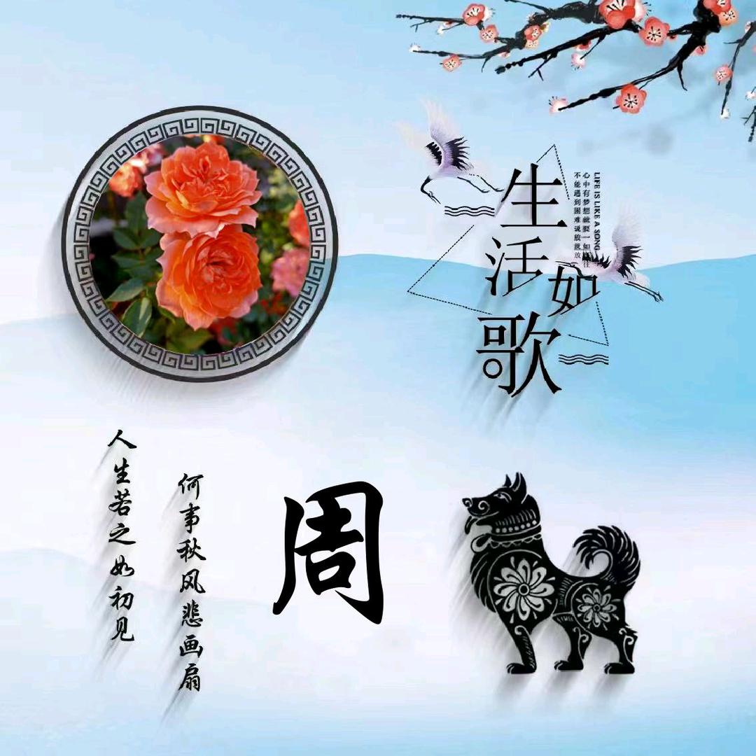 莲～