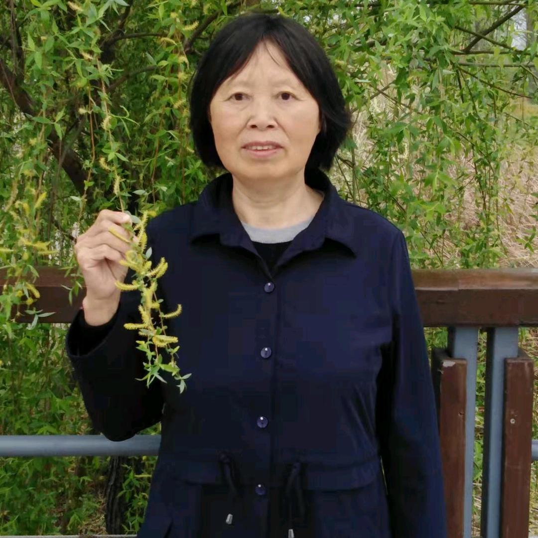 舒姐（早上六点十分开播）