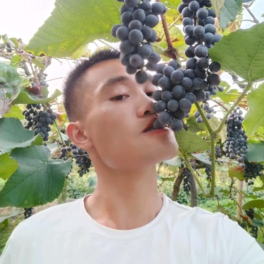 花无缺寻找小鱼儿