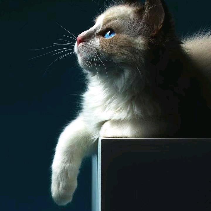 漂流