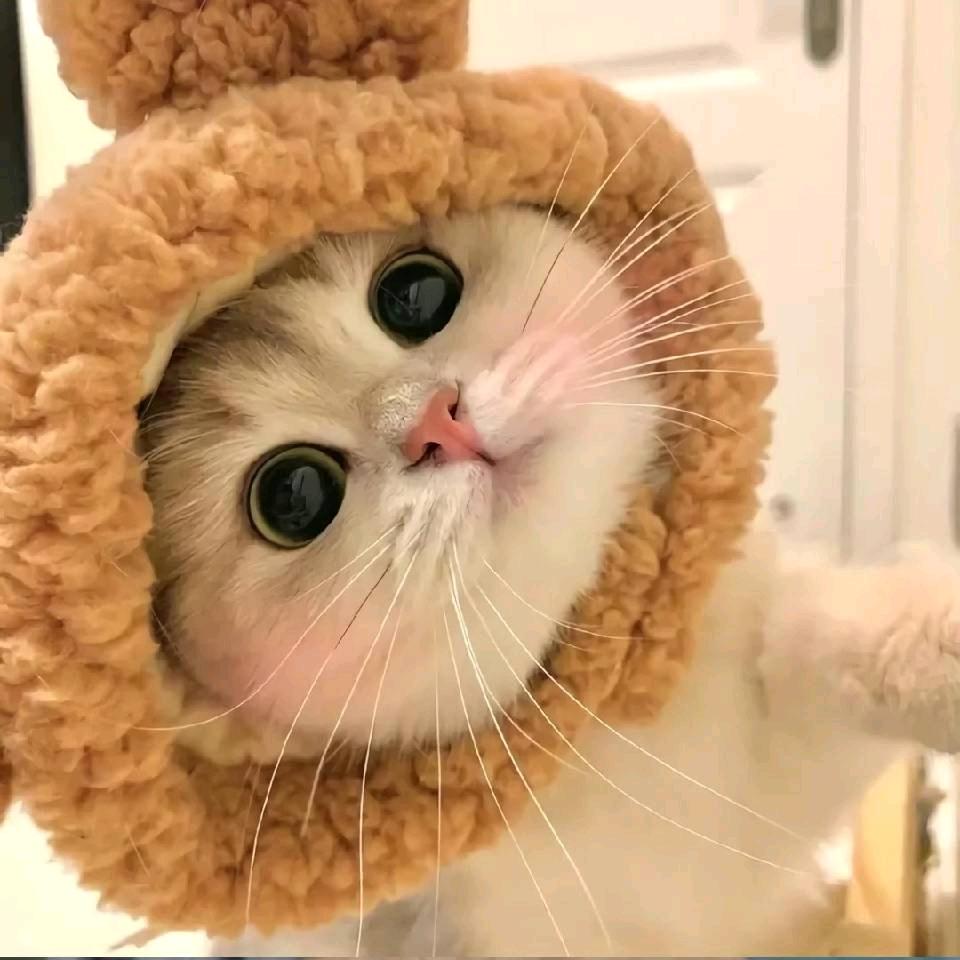 山糖🍬