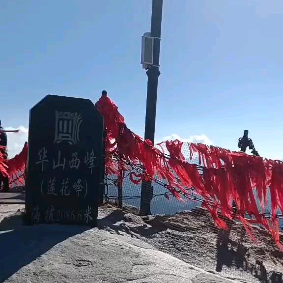 宇宙之星一临潼甜石榴