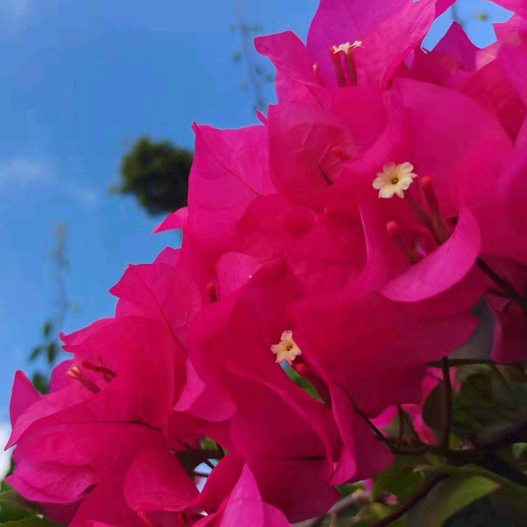 开心每一天余青华