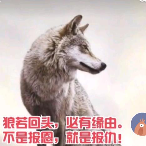 奇秒的人生。