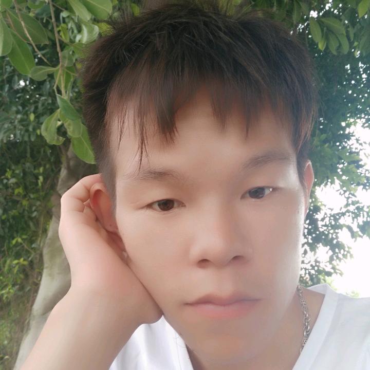 艾伦歌