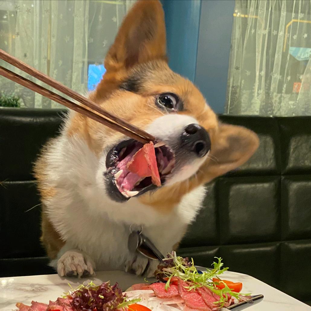 YY杜工