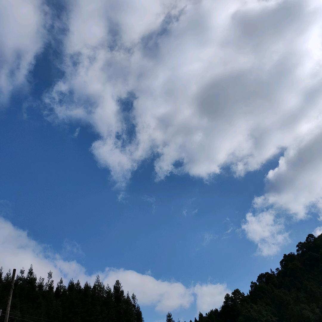 天涯