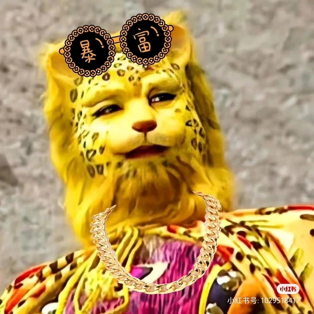 宅崽