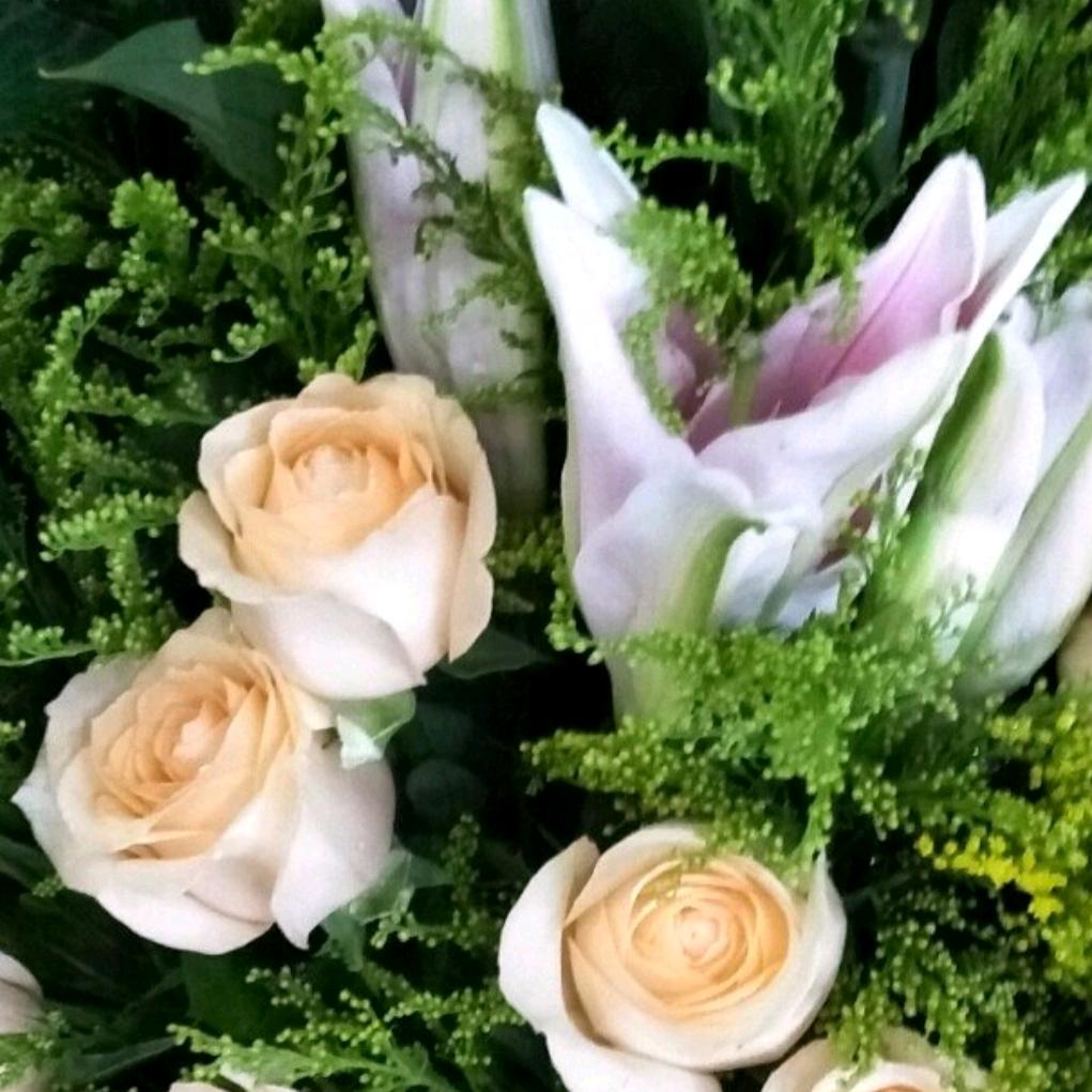如梦🌹🌹