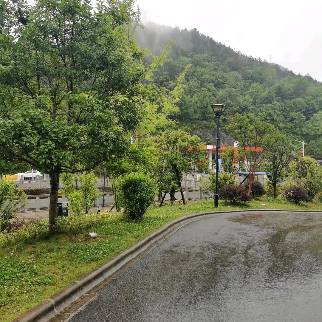 顺其自然