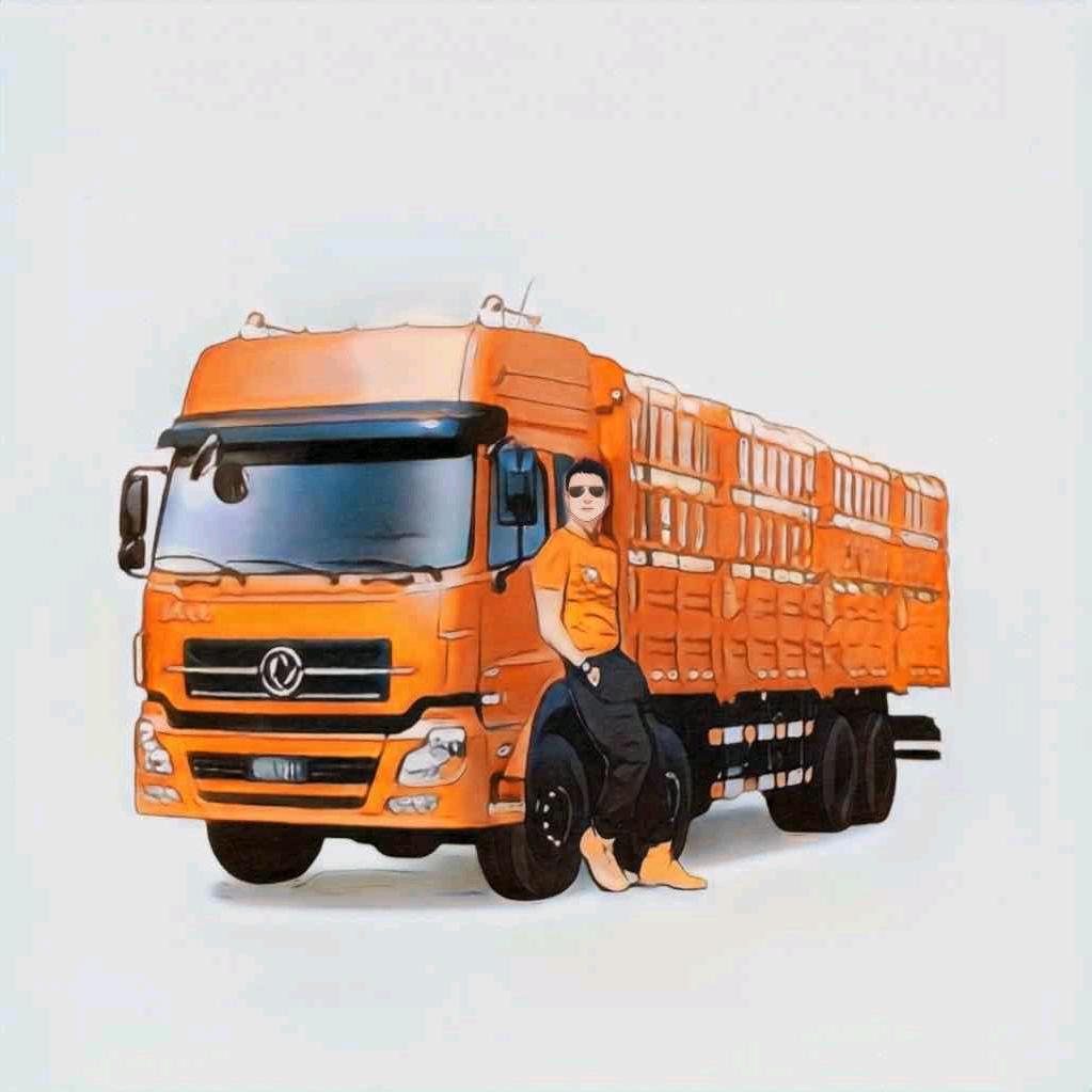 陕E🚚货运中国🚚（9666）