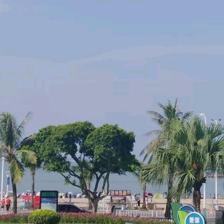 巜花儿》拒绝私聊