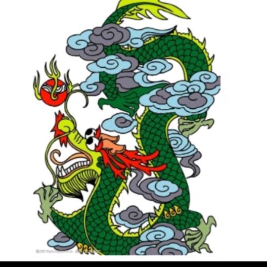 龙哥