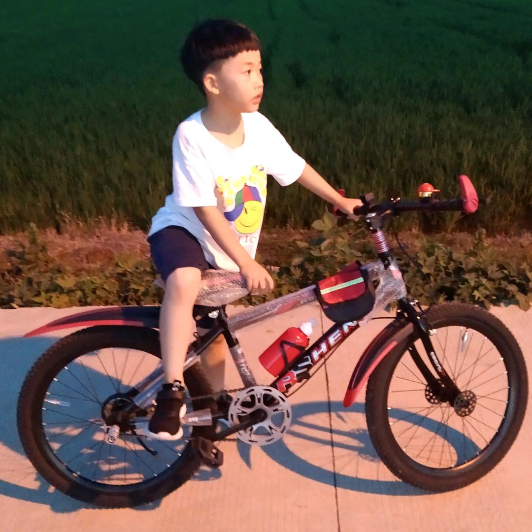 风中一匹狼
