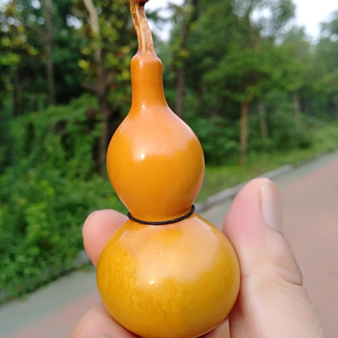石榴