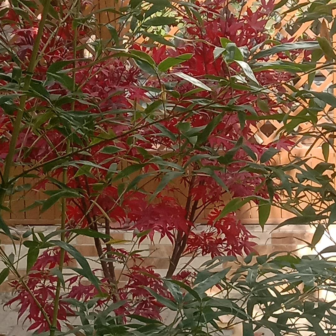 在水一方宜尔泉