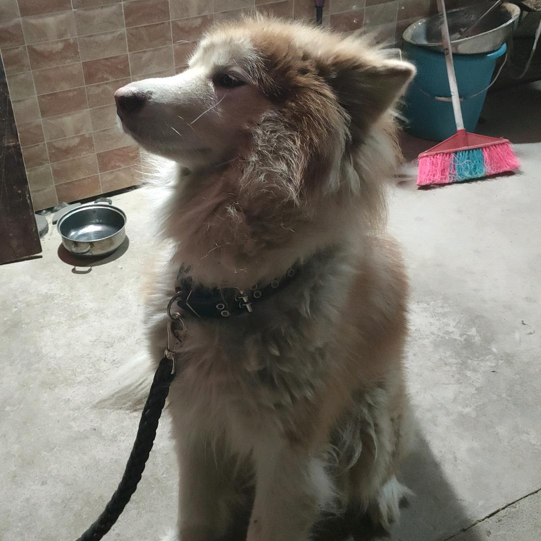 陳東