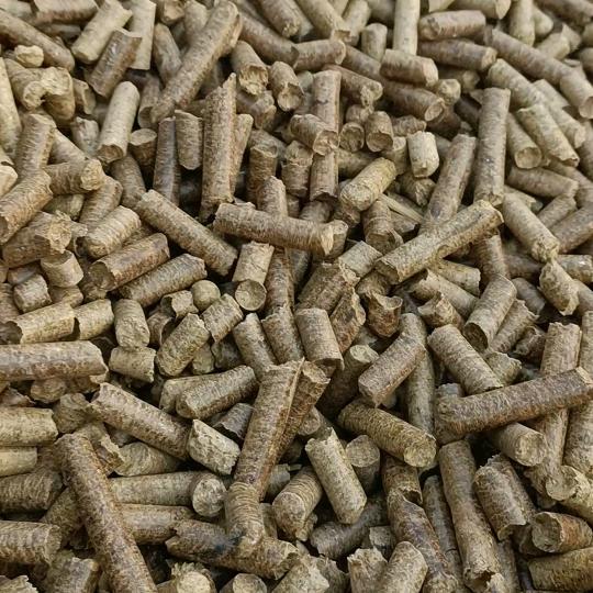 💕好运加满🚗