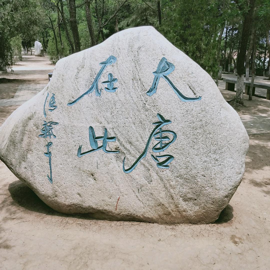 为你拼命