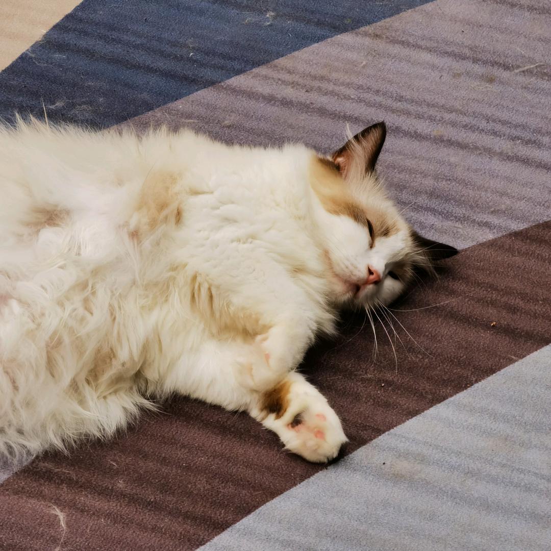 我是图图小淘气面对世界很好奇