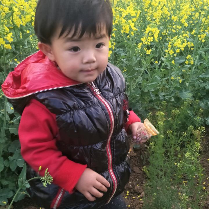 随性か安稳