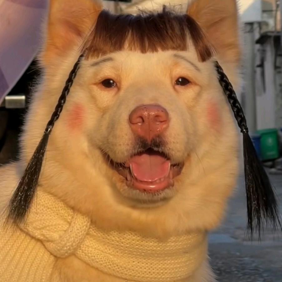 小老六