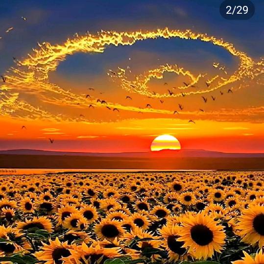 你今天笑了吗？✌✌✌