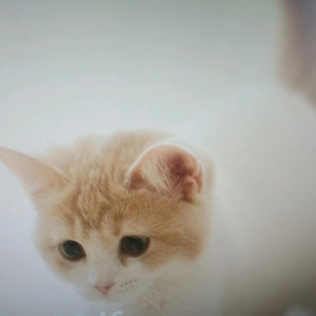 然