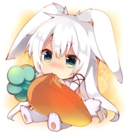 甜奶起司