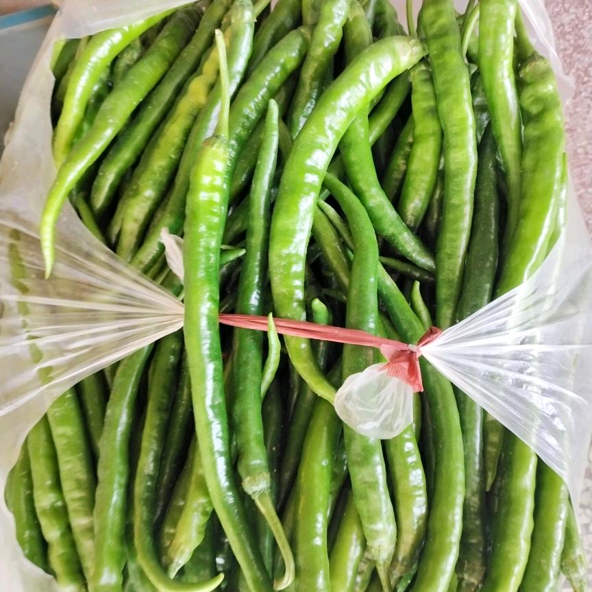 休闲野钓