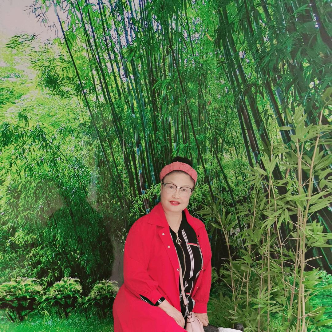 枫林阳子
