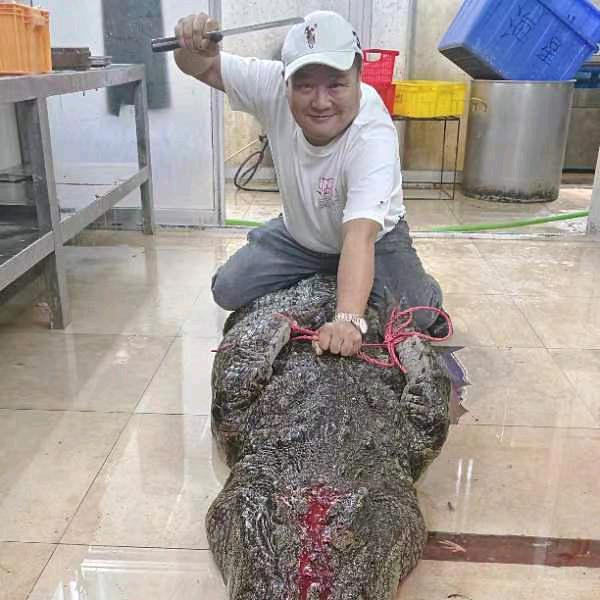 西樵常来酒楼