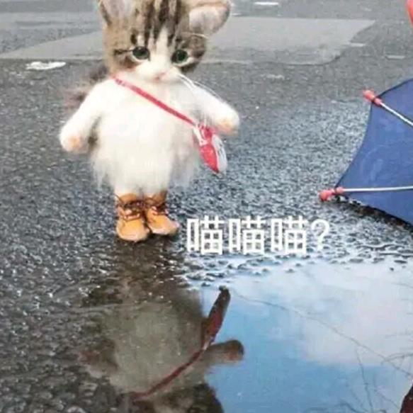 风吹过的夏天～