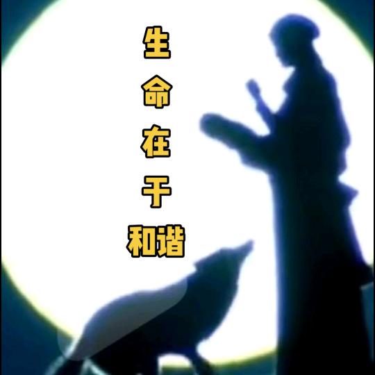 万物生长靠太阳☀