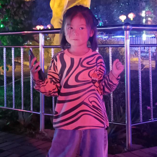 孤城醉红颜