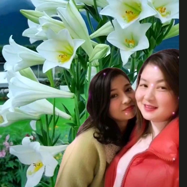 🍎天时、地利、人和🍏