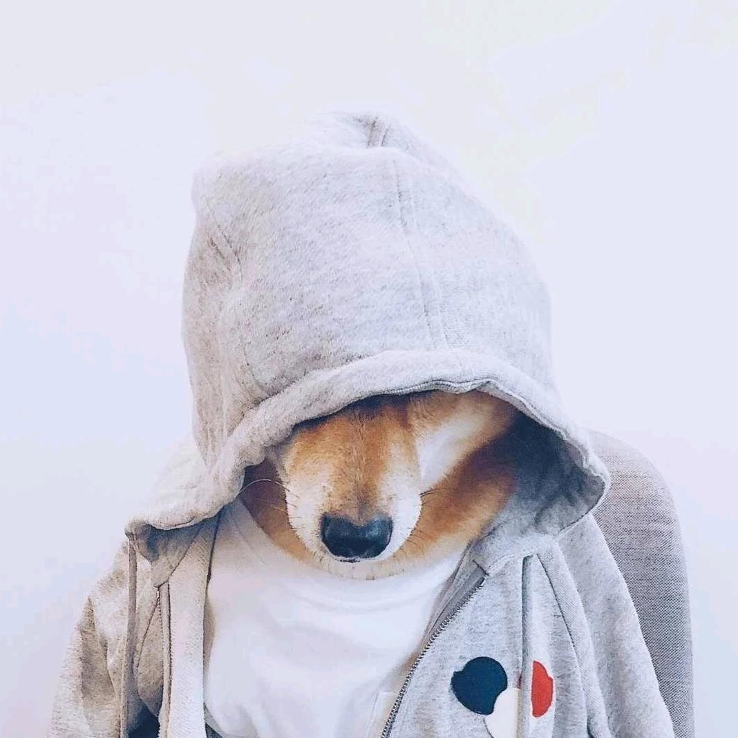 DaLuXi
