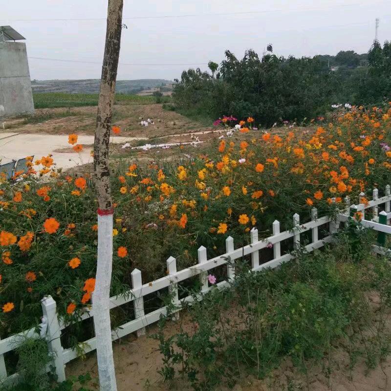 (っ'-')╮柠檬=͟͟͞͞💌麻麻