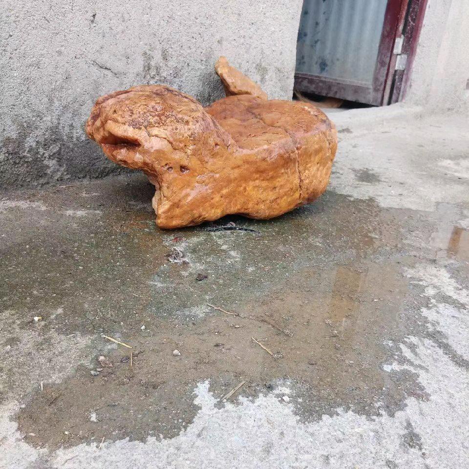 龙南临塘谢