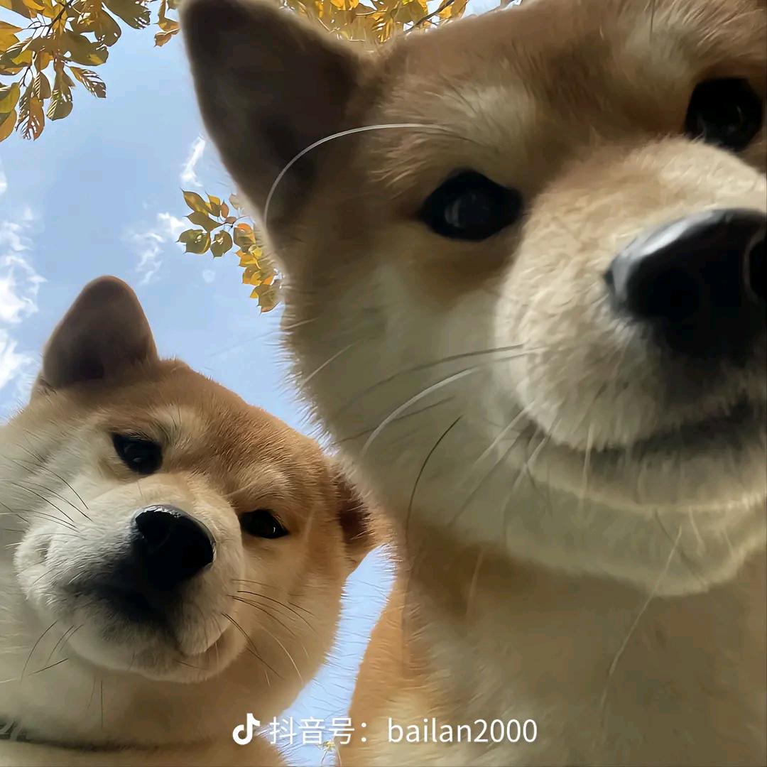 小n