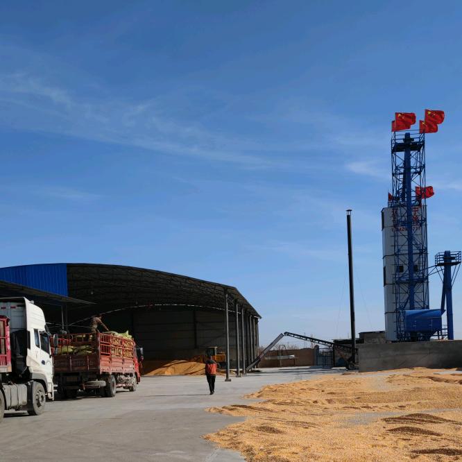 金昌祥辉种植农业合作社