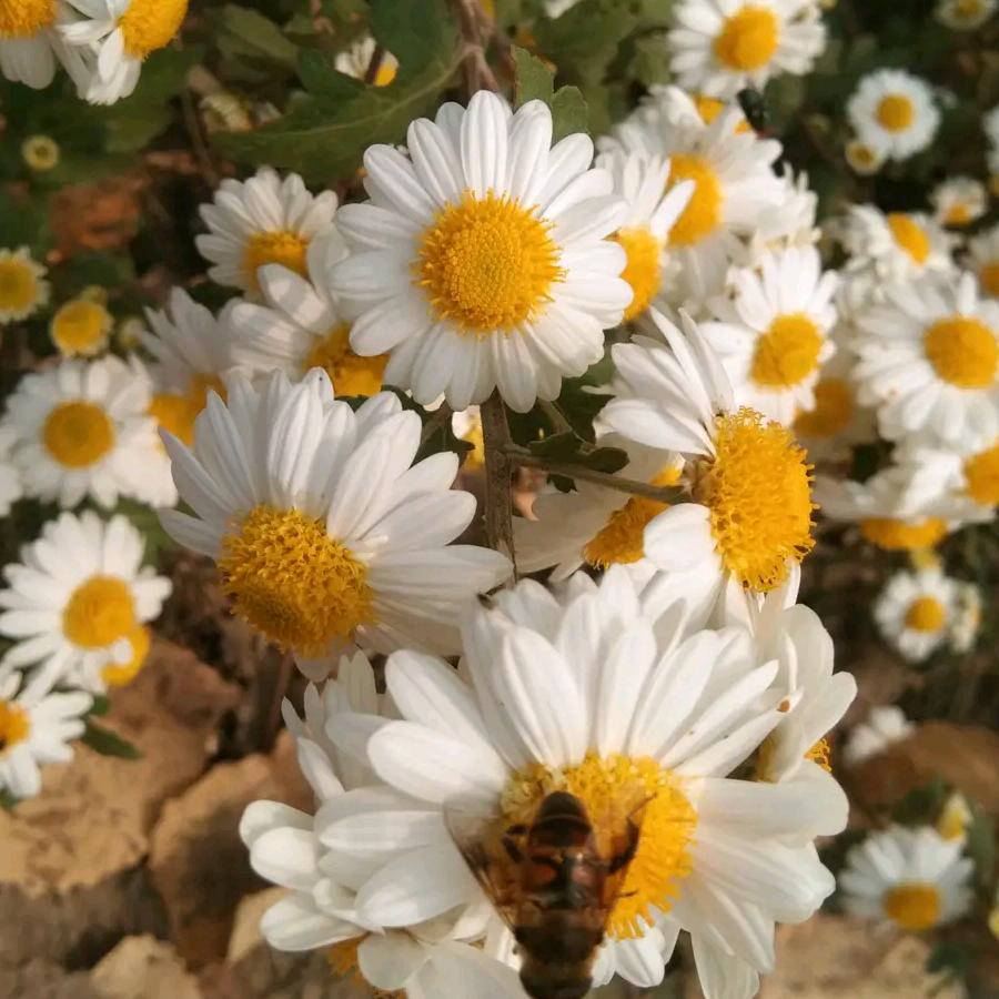 ꧁💞꧁💞许꧔ꦿ℘᭄ᩚ꯭ᩚ💞᭄᪲