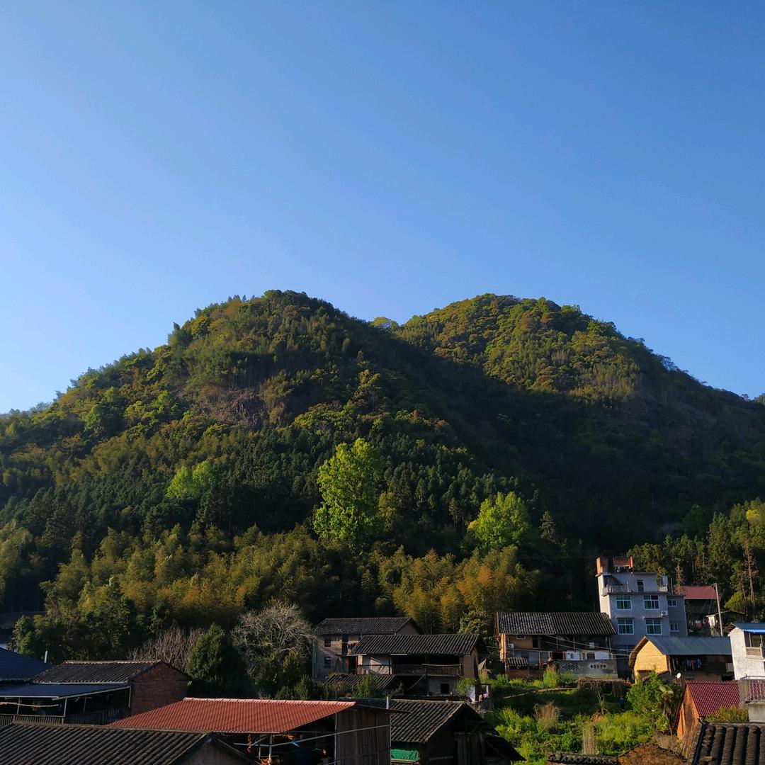 大力阿贵