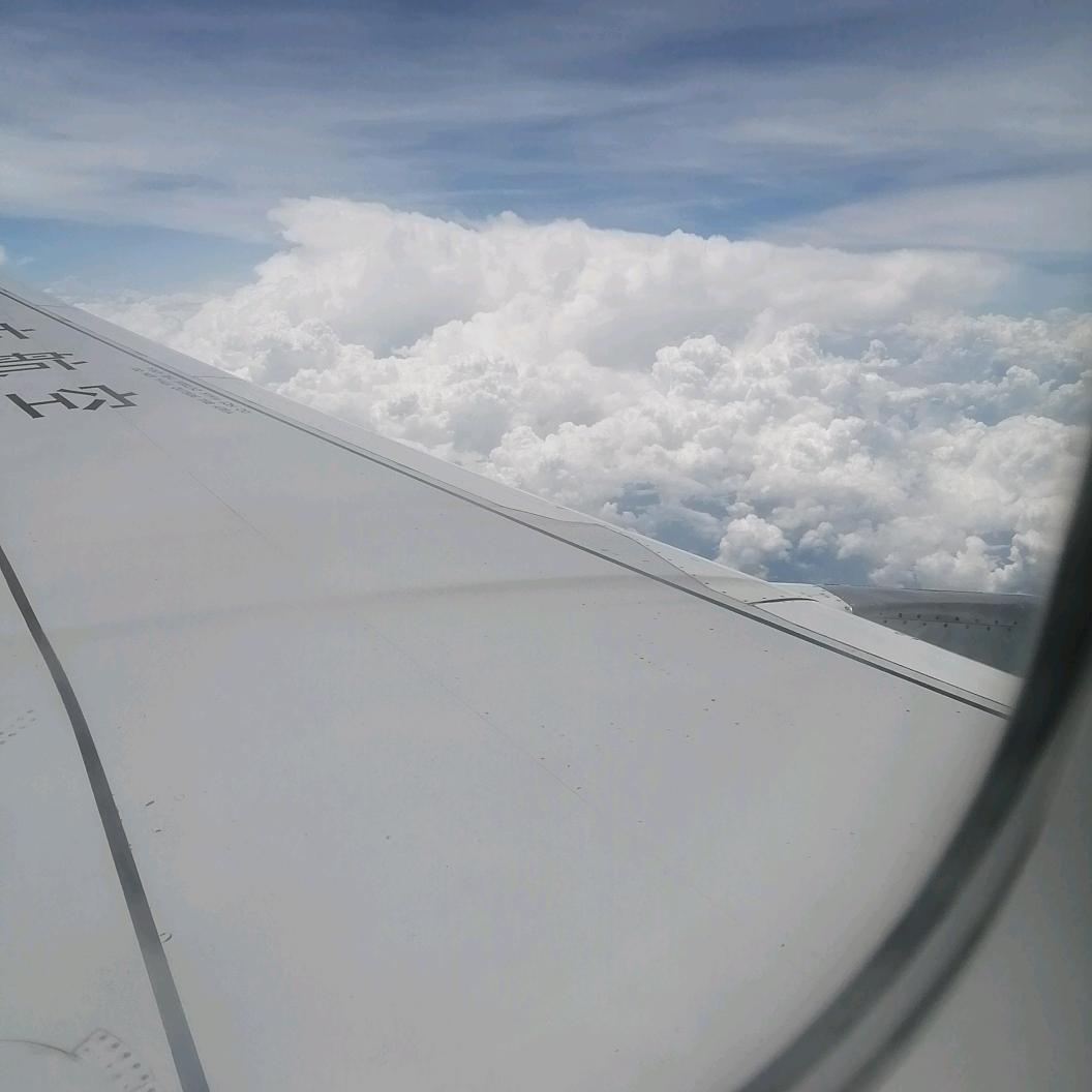 🌳想🧞‍♂️起🐉了🌹你🐮