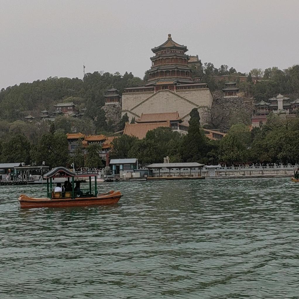 阳光免费¥狂野万岁$
