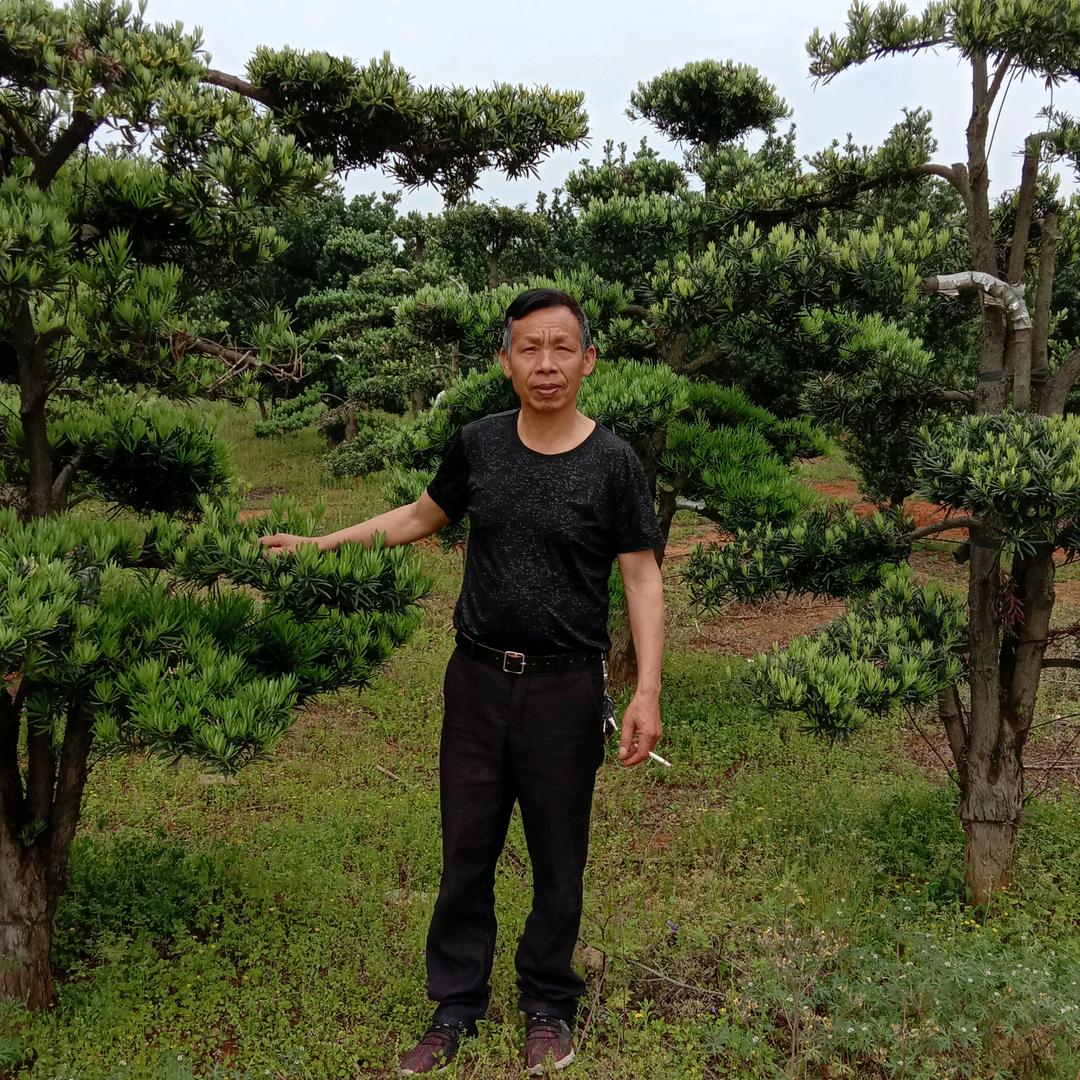 顿悟时刻