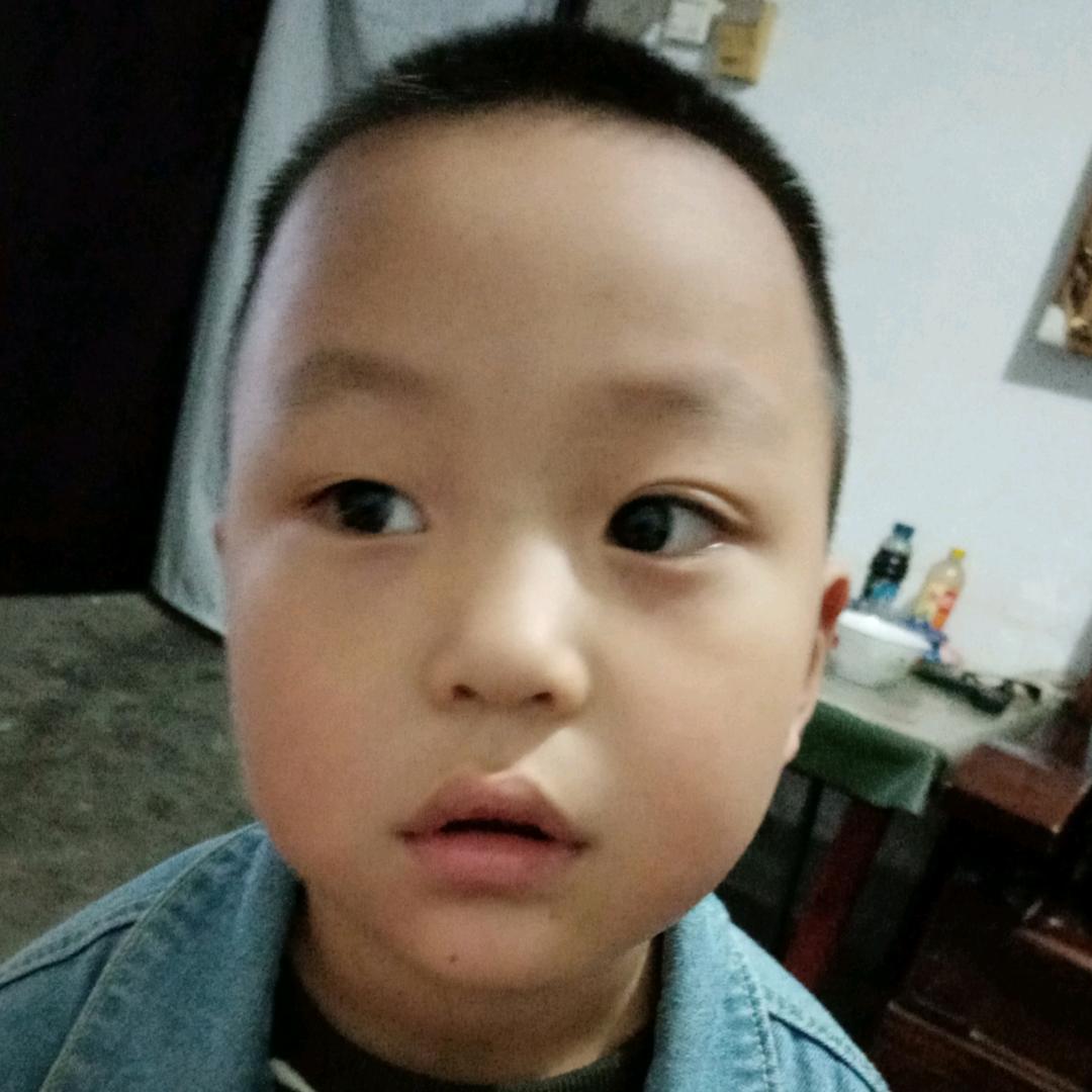 雪中送炭