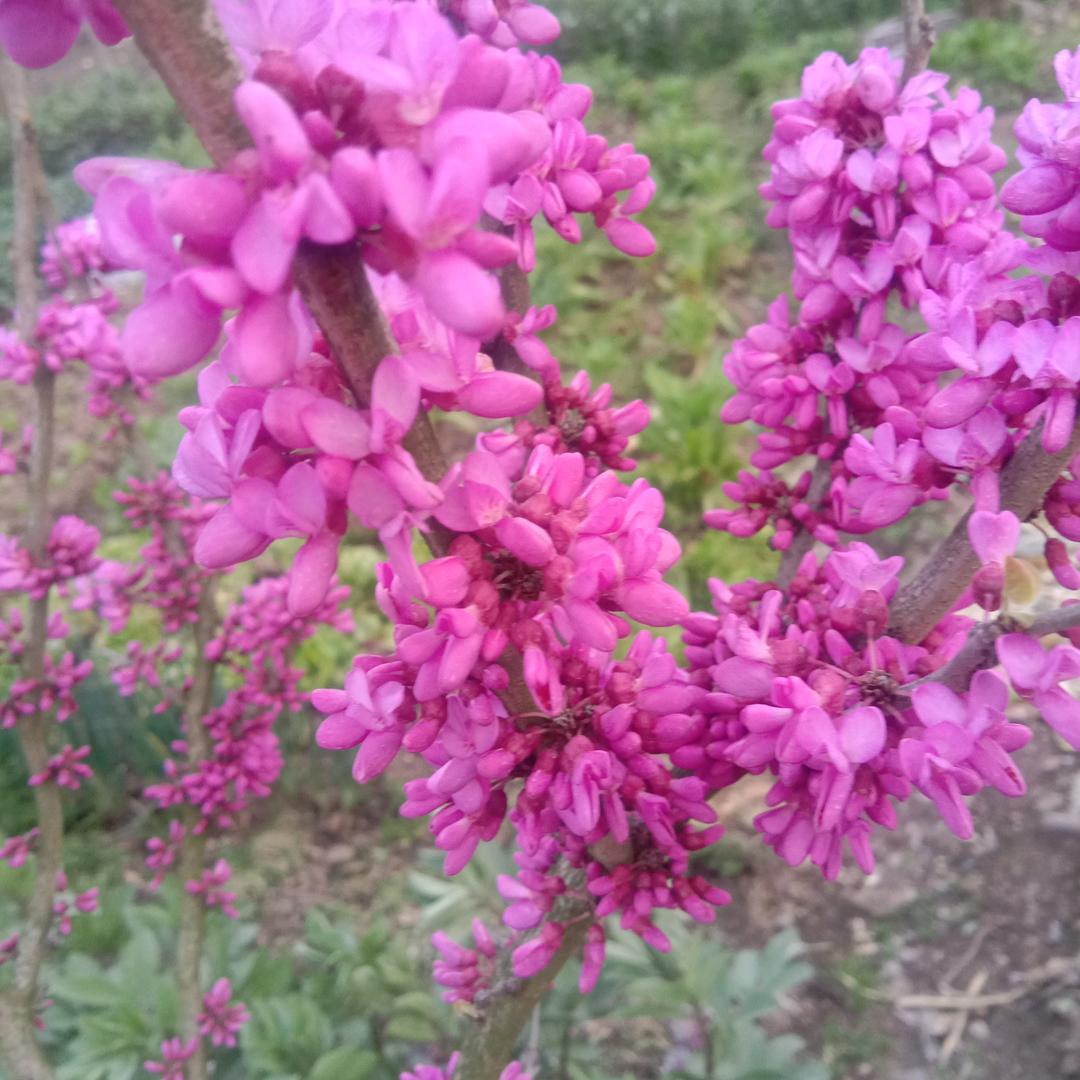 你是风儿我是沙