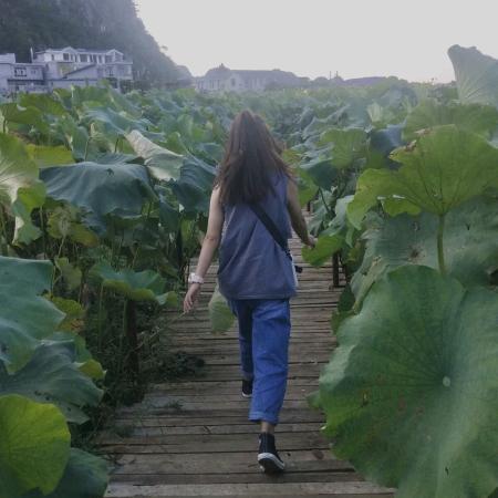 木纳